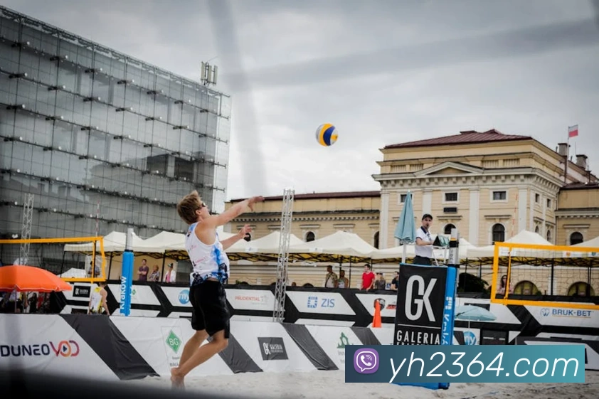 App Interface Preview